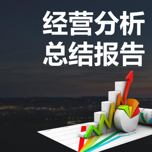 经营分析